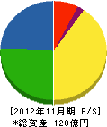 ミヤマ 貸借対照表 2012年11月期