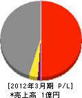 濱勇建設 損益計算書 2012年3月期