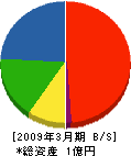 北海道電気技術サービス 貸借対照表 2009年3月期