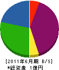 神辺土建 貸借対照表 2011年6月期