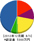 小崎建設 貸借対照表 2012年12月期