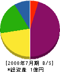 大壱電工プロフェッショナル 貸借対照表 2008年7月期