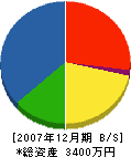 藤根タタミ店 貸借対照表 2007年12月期