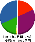 渡辺プラスチック造船 貸借対照表 2011年3月期