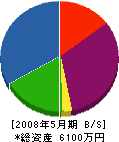 樋田工務店 貸借対照表 2008年5月期