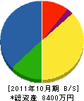 松沢電気商会 貸借対照表 2011年10月期