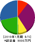 内藤電設 貸借対照表 2010年1月期