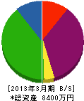 昭連商事 貸借対照表 2013年3月期