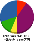 武藤組 貸借対照表 2012年6月期
