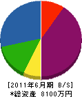 武藤組 貸借対照表 2011年6月期