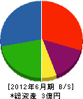 芹澤建設 貸借対照表 2012年6月期
