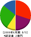 塚原総業 貸借対照表 2009年6月期