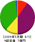 日本ユートピア 貸借対照表 2009年5月期