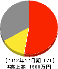 寺沢水道 損益計算書 2012年12月期