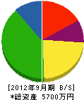 樋口電気商会 貸借対照表 2012年9月期