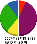堀江建材 貸借対照表 2007年12月期