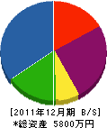 春洋 貸借対照表 2011年12月期
