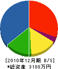 松浦塗装店 貸借対照表 2010年12月期