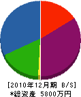 笠井土木測量 貸借対照表 2010年12月期