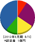 和田組 貸借対照表 2012年6月期
