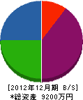渡邊工務店 貸借対照表 2012年12月期