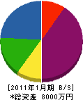 大島工芸 貸借対照表 2011年1月期