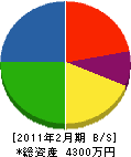 黒澤電気工業 貸借対照表 2011年2月期
