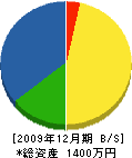 大澤造園 貸借対照表 2009年12月期