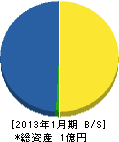 日本消毒 貸借対照表 2013年1月期