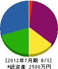 飯田造園 貸借対照表 2012年7月期