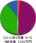 永野組 貸借対照表 2012年9月期