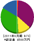 浦和正光園 貸借対照表 2011年6月期