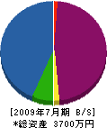杉村電気商会 貸借対照表 2009年7月期
