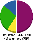 安藤電気工事 貸借対照表 2012年10月期
