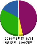 横井組 貸借対照表 2010年6月期