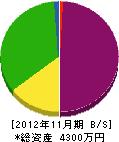 東光 貸借対照表 2012年11月期