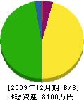 谷田商会 貸借対照表 2009年12月期