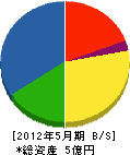 小島建設 貸借対照表 2012年5月期