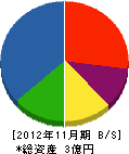 柳川工業 貸借対照表 2012年11月期