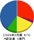 斉藤工事 貸借対照表 2009年8月期