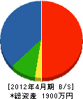 湯田電工 貸借対照表 2012年4月期