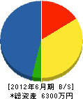 福井工業 貸借対照表 2012年6月期