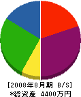 川村設備工業 貸借対照表 2008年8月期