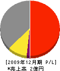 川崎ネット工業 損益計算書 2009年12月期