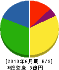植松鈴木組 貸借対照表 2010年6月期