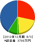 井口塗料 貸借対照表 2012年12月期