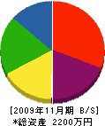 柿川電気設備 貸借対照表 2009年11月期