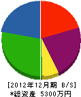 大京建設 貸借対照表 2012年12月期