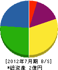 松島電気工事 貸借対照表 2012年7月期