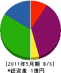 赤坂電工社 貸借対照表 2011年5月期